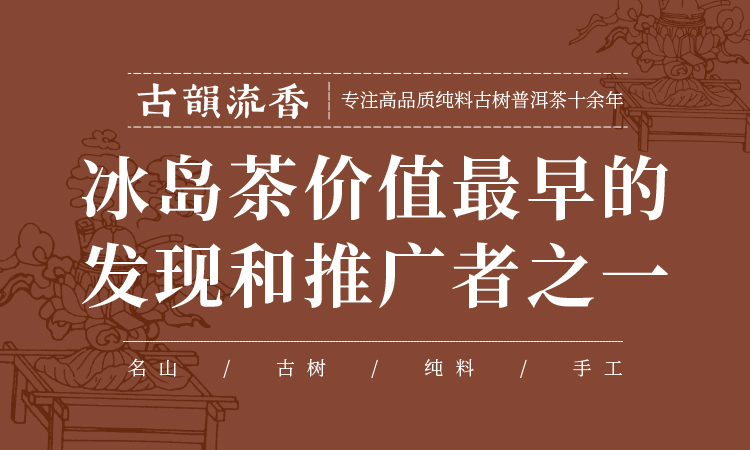 纯料古树茶领导品牌