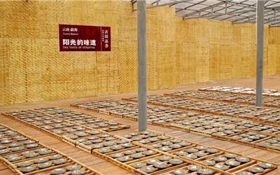 制茶理念